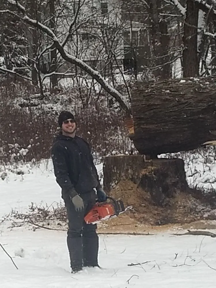 Top-rated lawn mowing service in Franklinville, NY by Phoenix Tree Care