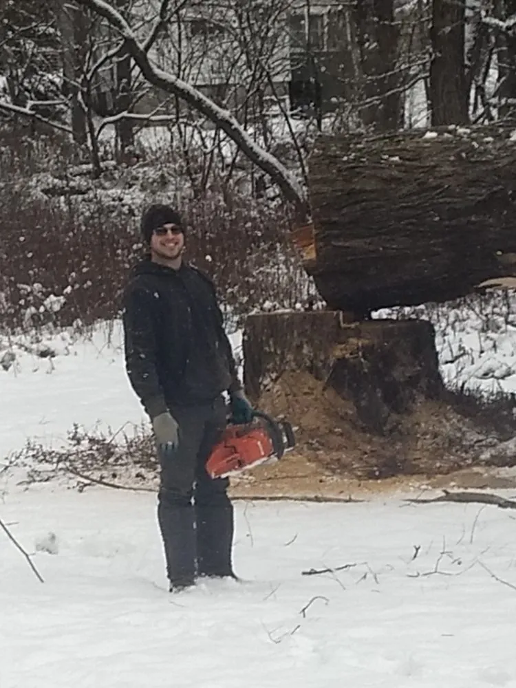 Professional lawn mowing service experts serving Franklinville, NY - Phoenix Tree Care