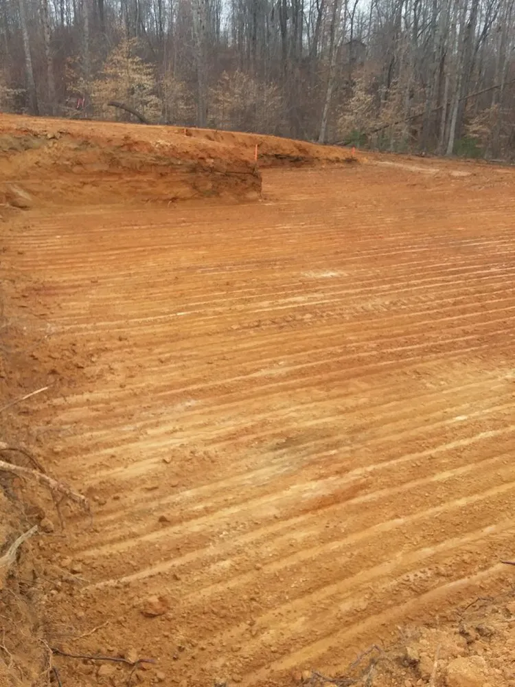 Expert lawn mowing service experts serving Walkertown, NC - Phoenix Trucking and Site Development