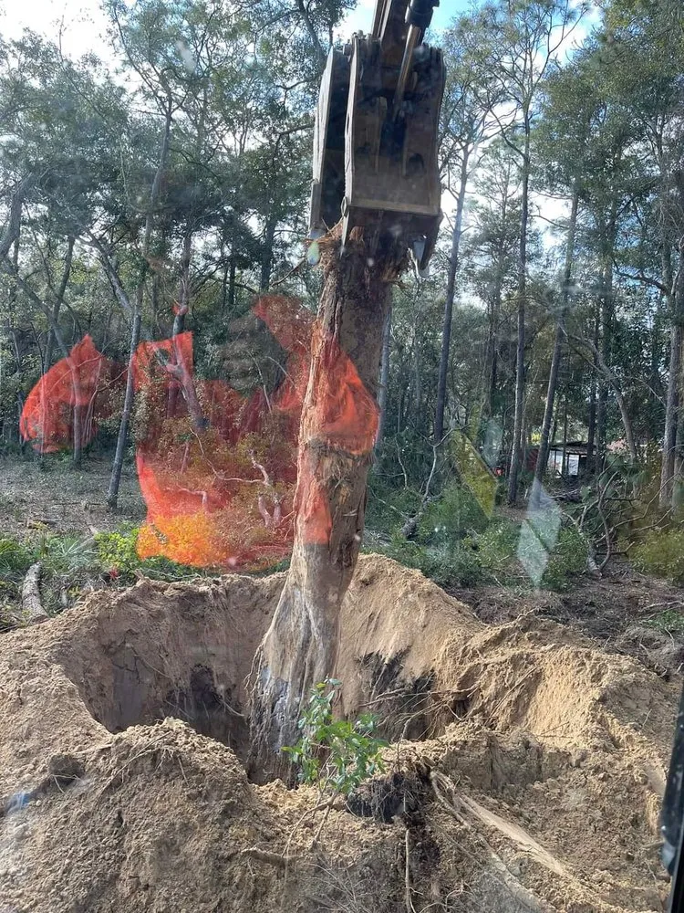 Expert yard maintenance in Walkertown, NC by Phoenix Trucking and Site Development