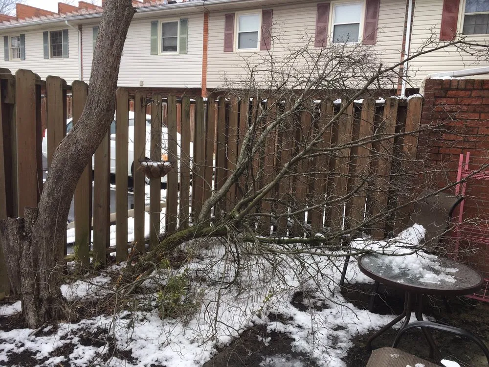 Trusted yard cleanup service for beautiful yards across Lexington, KY - Photo Finish Property Maintenance