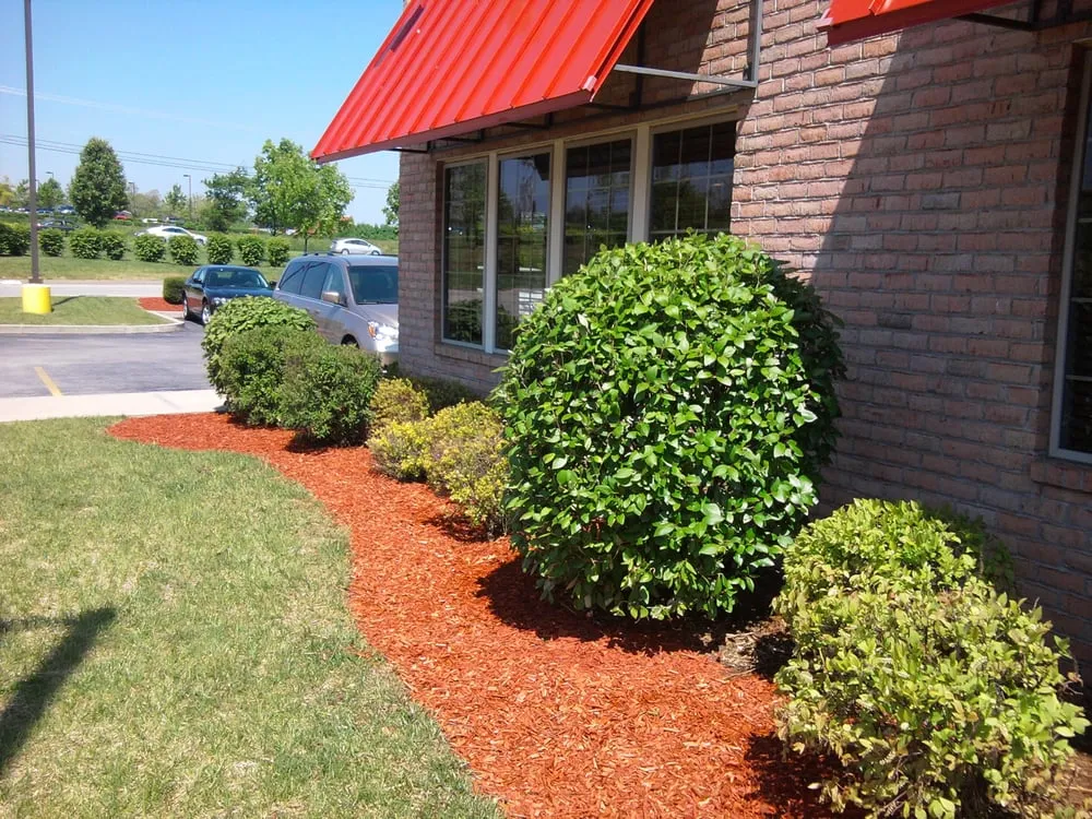 Custom yard maintenance experts serving Lexington, KY - Photo Finish Property Maintenance