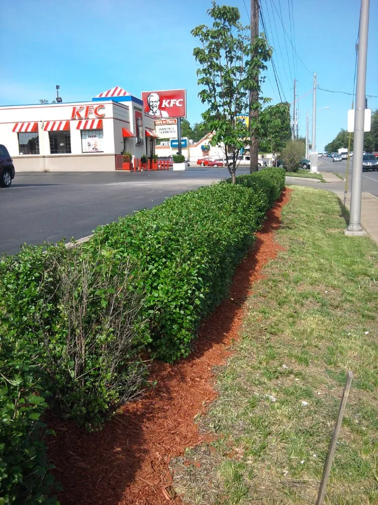 Trusted landscape design near you in Lexington, KY by Photo Finish Property Maintenance