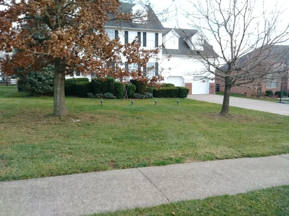 Reliable lawn mowing service in Lexington, KY - Photo Finish Property Maintenance