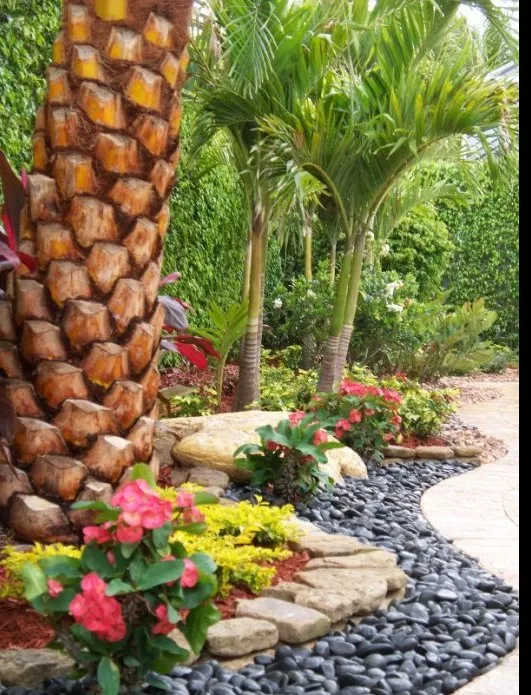 Professional landscape installation for beautiful yards in Fort Myers, FL by Photoscape
