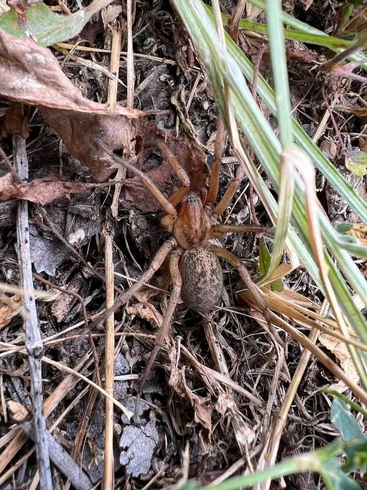 Expert garden landscaping for beautiful yards across Spokane, WA - PHS Weed & Pest Control