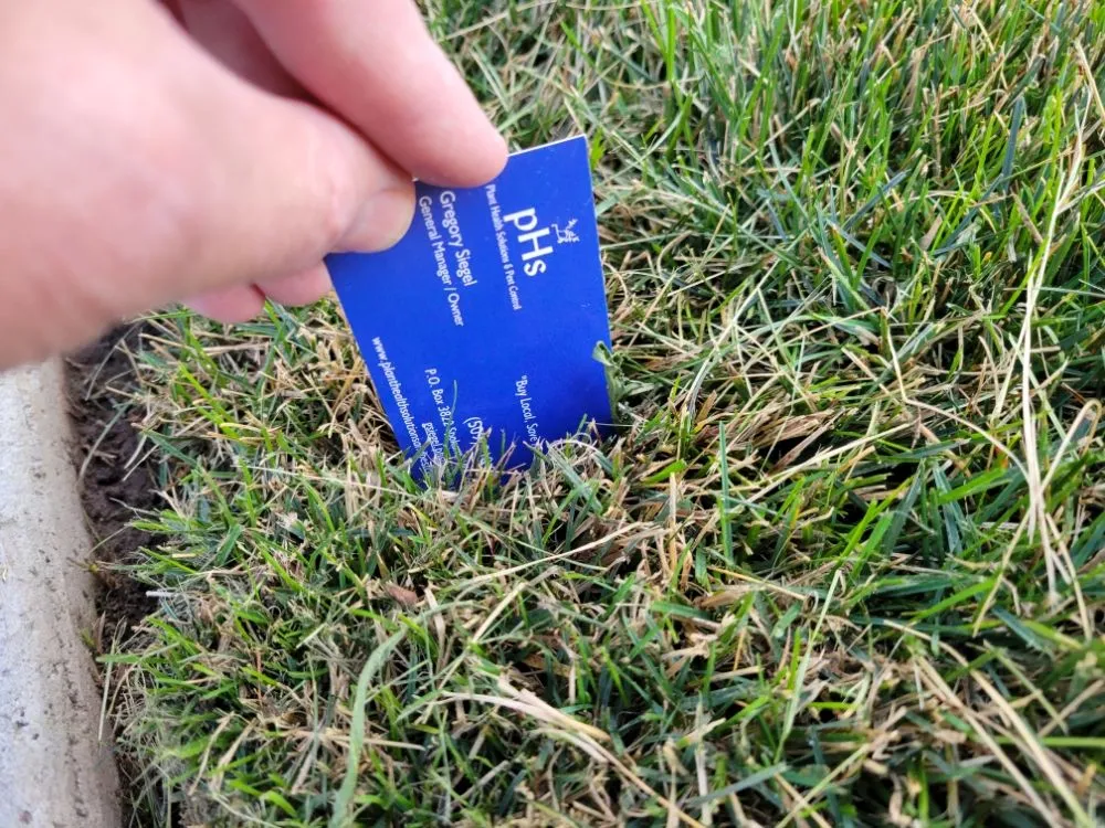 Trusted lawn mowing service near you across Spokane, WA - PHS Weed & Pest Control