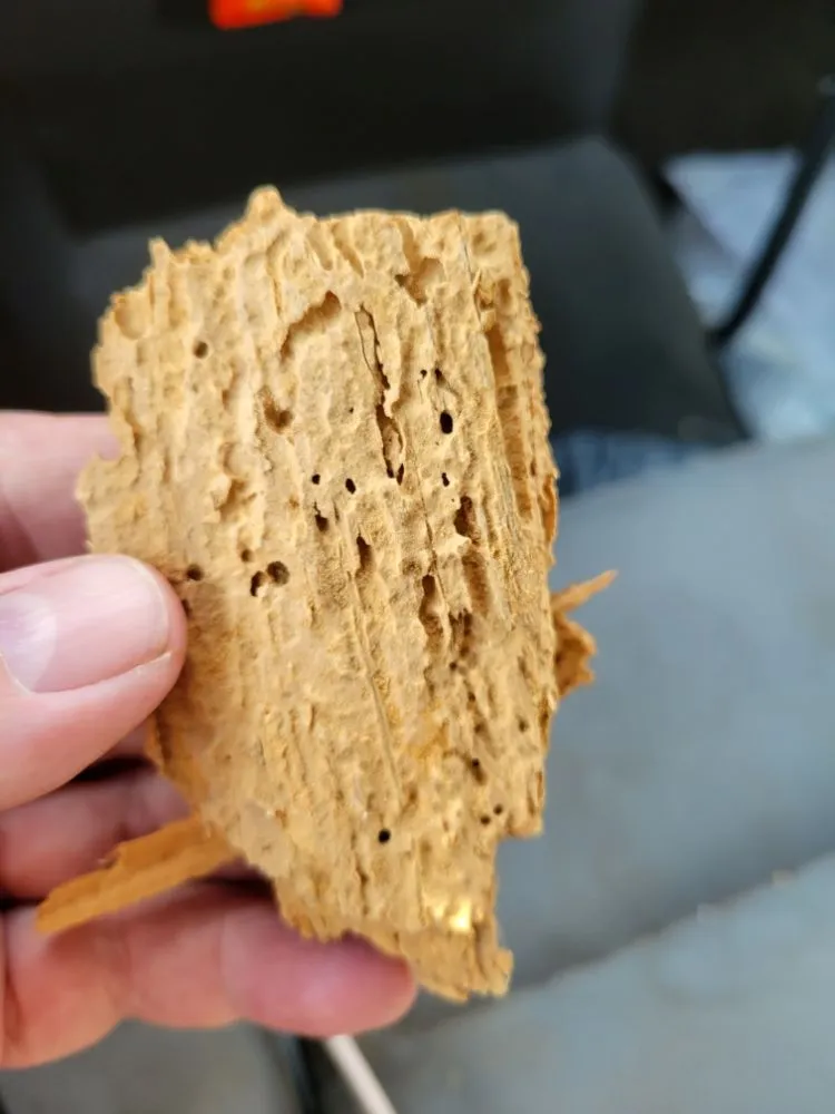 Trusted lawn mowing service in Spokane, WA by PHS Weed & Pest Control