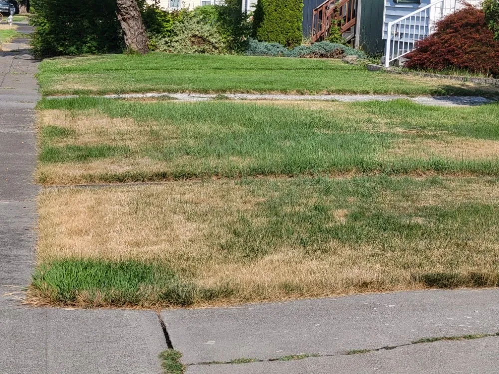 Professional garden landscaping for residential properties across Spokane, WA - PHS Weed & Pest Control