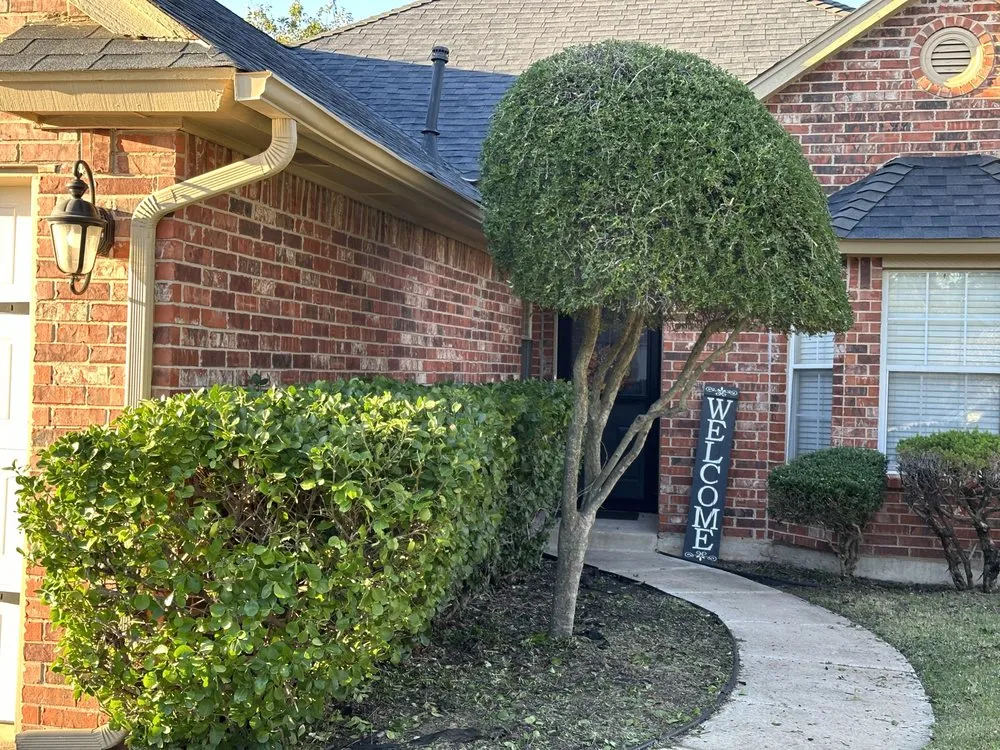 Reliable outdoor landscaping in Nichols Hills, OK - Phully Clipped Lawns