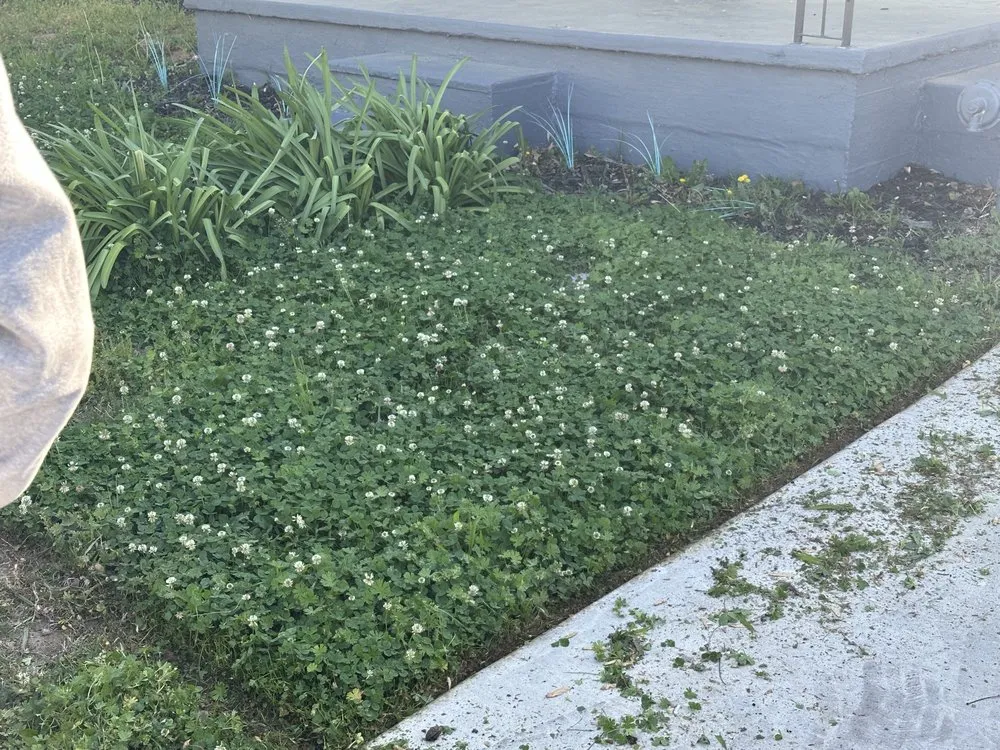 Professional residential landscaping in Nichols Hills, OK - Phully Clipped Lawns