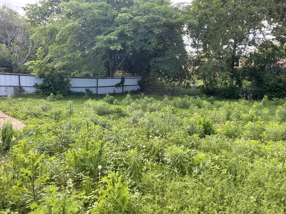 Affordable landscaping services for residential properties across Nichols Hills, OK - Phully Clipped Lawns