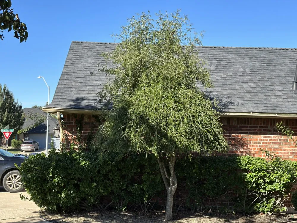 Affordable landscaping services in Nichols Hills, OK by Phully Clipped Lawns