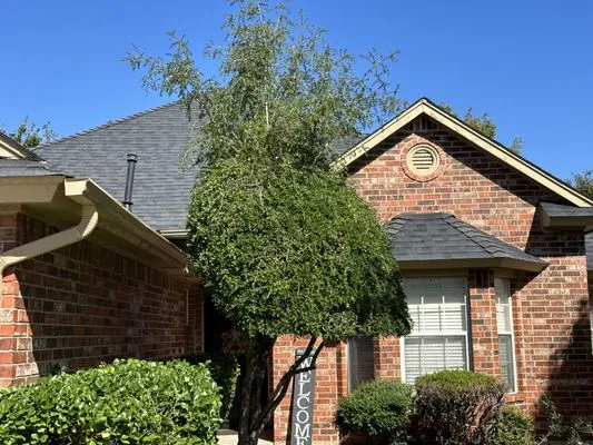 Phully Clipped Lawns