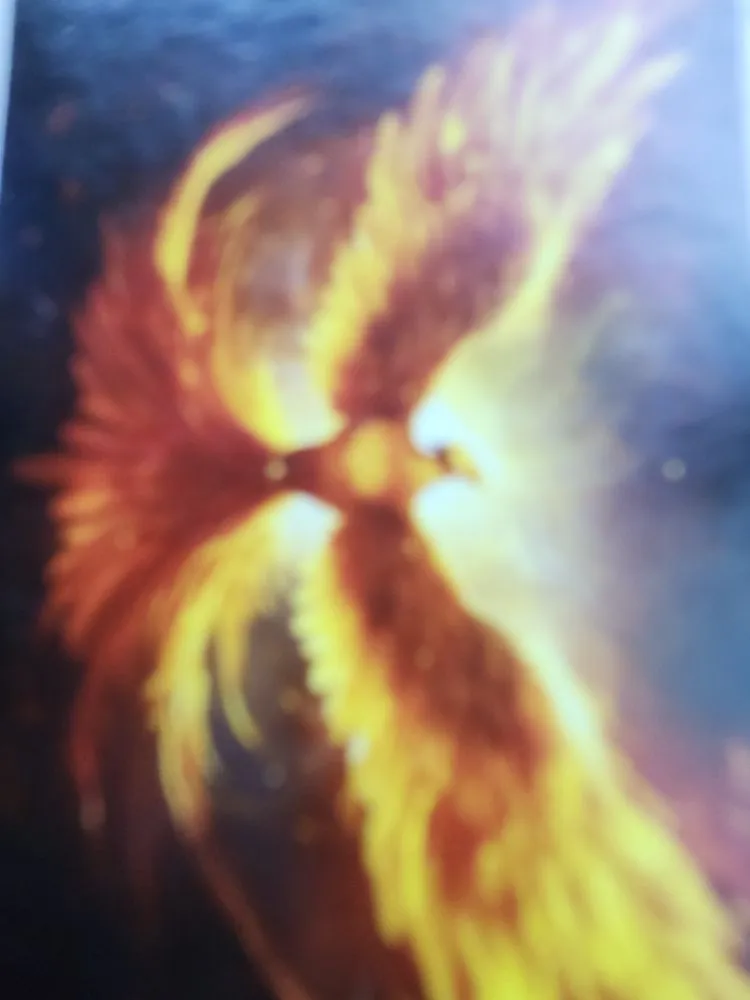 Top-rated landscape design in Gastonia, NC - Phynix Lawncare