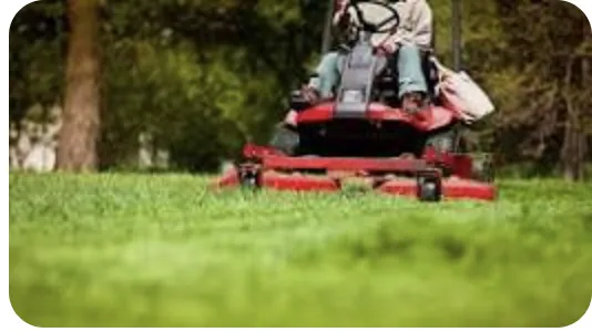 Custom yard maintenance with custom design in Baton Rouge, LA by Physique Lawncare Service