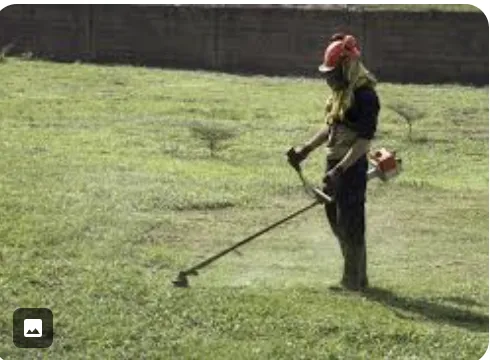 Top-rated garden landscaping for residential properties in Baton Rouge, LA by Physique Lawncare Service