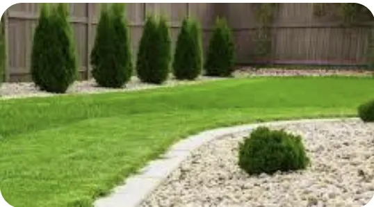Top-rated lawn care service in Baton Rouge, LA by Physique Lawncare Service