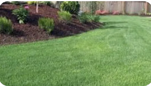 Custom landscape installation for year-round maintenance across Baton Rouge, LA - Physique Lawncare Service