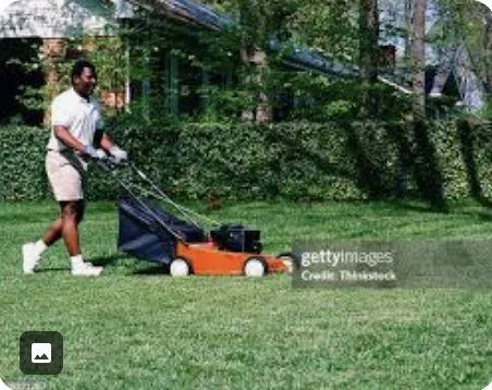 Professional landscape design experts serving Baton Rouge, LA - Physique Lawncare Service