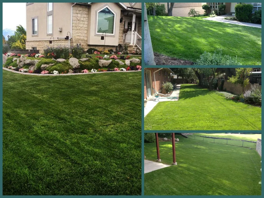 Affordable residential landscaping for homes in Midvale, UT by P&I Landscape LLC