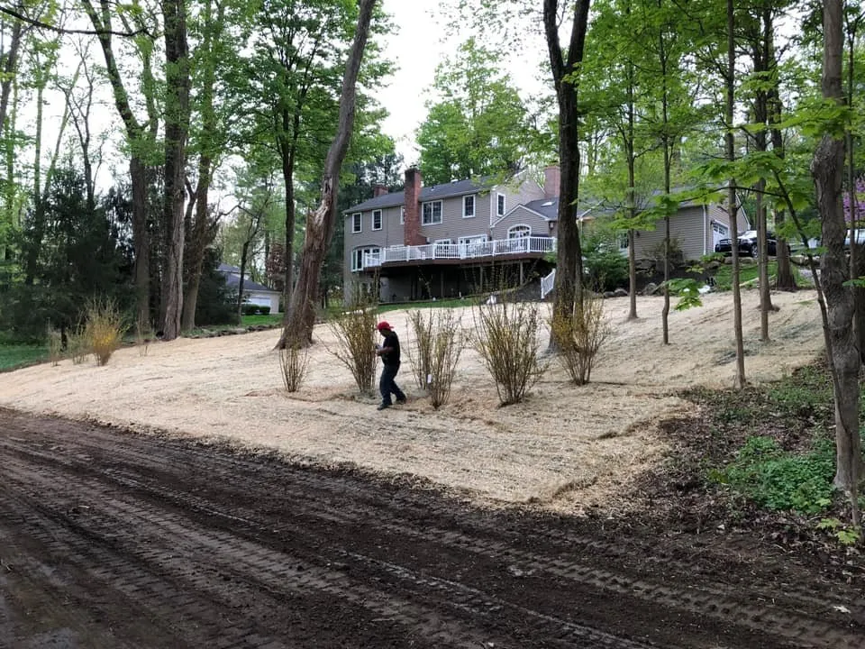 Expert lawn care service in Aston, PA - Piazza Property Pros