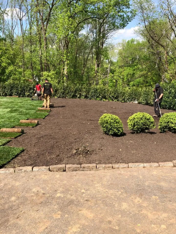 Professional yard cleanup service for year-round maintenance in Aston, PA by Piazza Property Pros