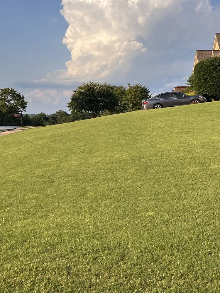 Custom lawn mowing service with custom design across buford, GA - Pica Pasto Lawncare