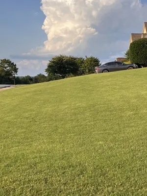 Pica Pasto Lawncare Logo