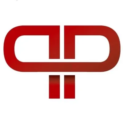 Picardi Pro Services Logo