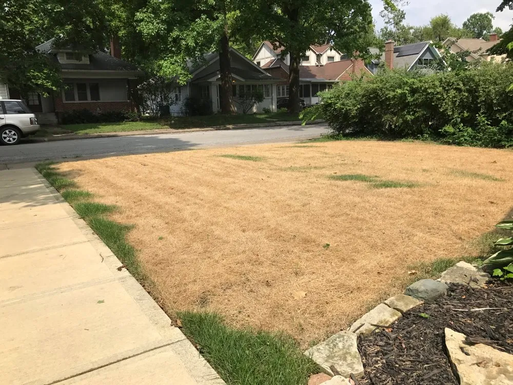 Trusted landscape design for residential properties in Fishers, IN by Picasso Lawn & Landscape