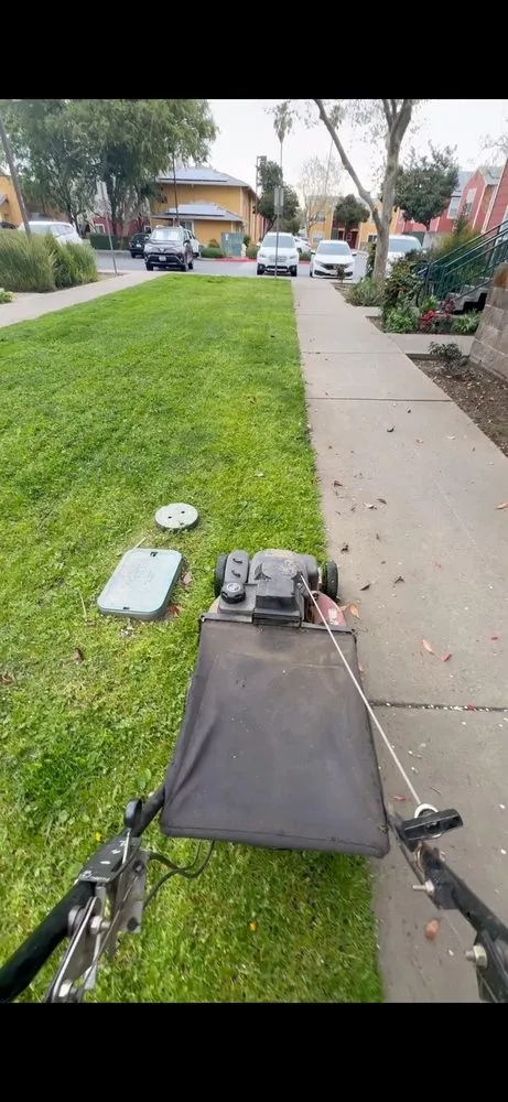 Expert lawn care service for beautiful yards in Citrus Heights, CA by Pichardo Lawn & Landscaping