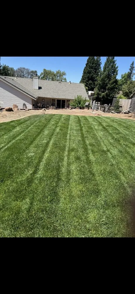 Reliable yard cleanup service for homes in Citrus Heights, CA by Pichardo Lawn & Landscaping
