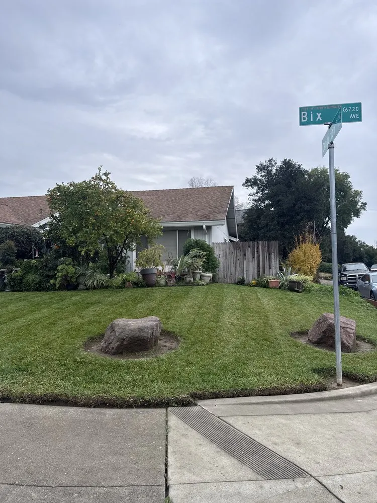 Trusted landscaping services in Citrus Heights, CA by Pichardo Lawn & Landscaping