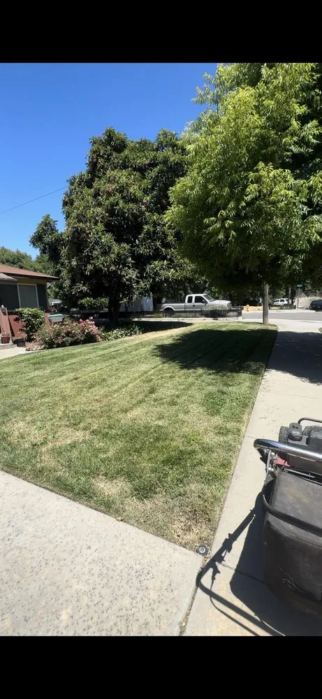 Local lawn mowing service in Citrus Heights, CA - Pichardo Lawn & Landscaping