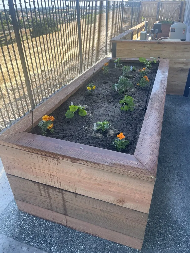 Custom lawn mowing service for residential properties in Citrus Heights, CA by Pichardo Lawn & Landscaping