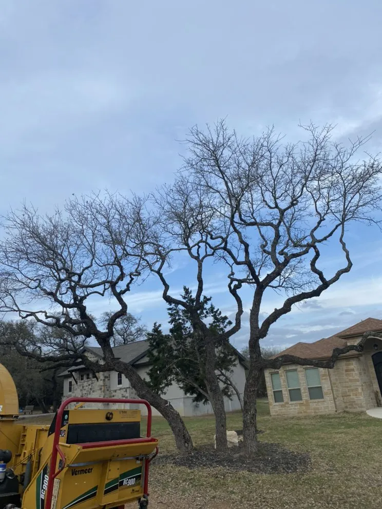 Reliable outdoor landscaping experts serving Forth Myers, FL - Pichardo’s Lawn & Tree Care