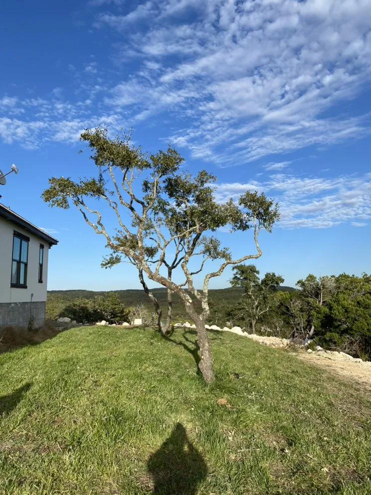 Affordable landscaping services in Forth Myers, FL - Pichardo’s Lawn & Tree Care