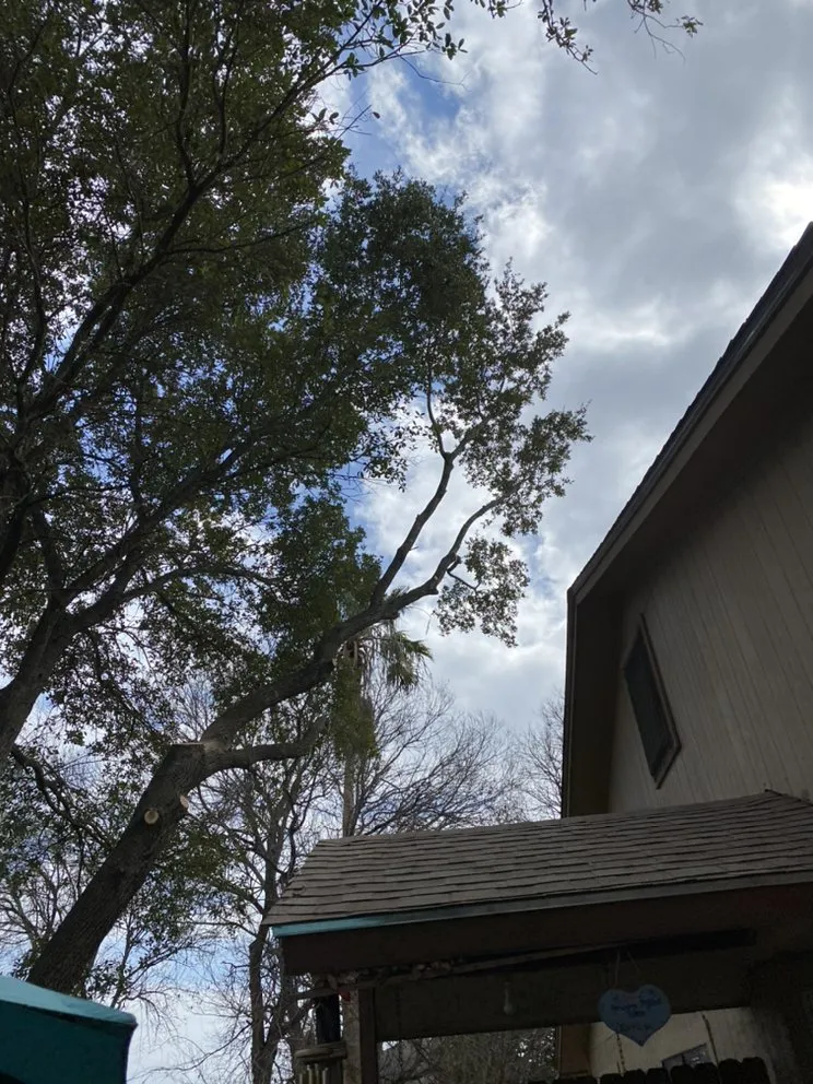 Top-rated landscape installation near you across Forth Myers, FL - Pichardo’s Lawn & Tree Care