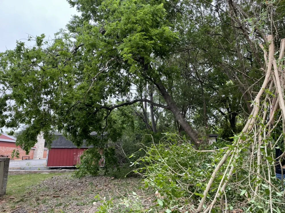 Trusted landscape installation experts serving Forth Myers, FL - Pichardo’s Lawn & Tree Care