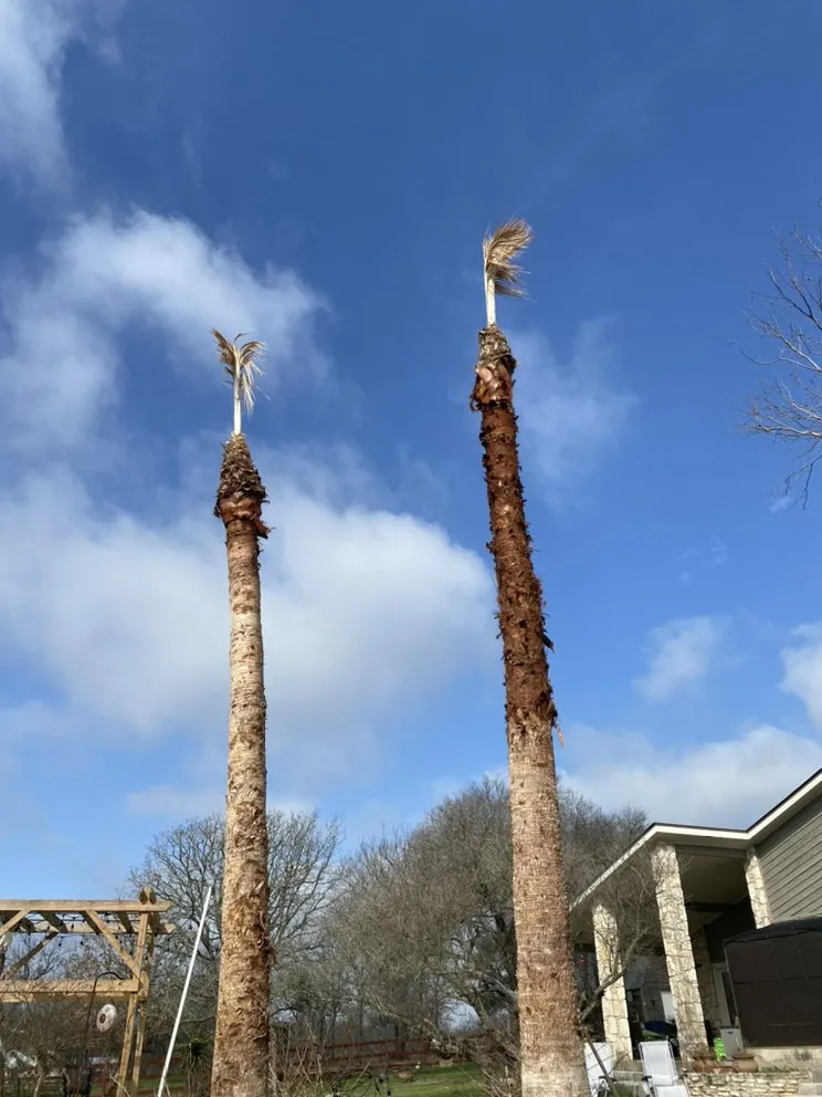 Affordable landscaping services for year-round maintenance across Forth Myers, FL - Pichardo’s Lawn & Tree Care