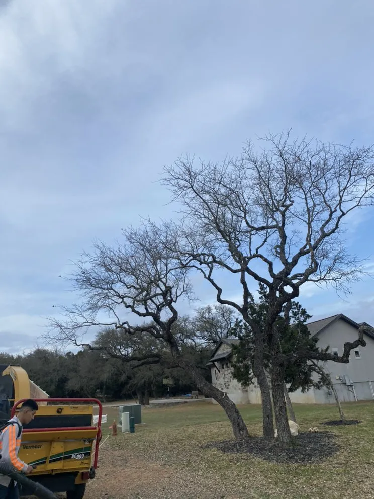 Reliable landscape design for residential properties across Forth Myers, FL - Pichardo’s Lawn & Tree Care