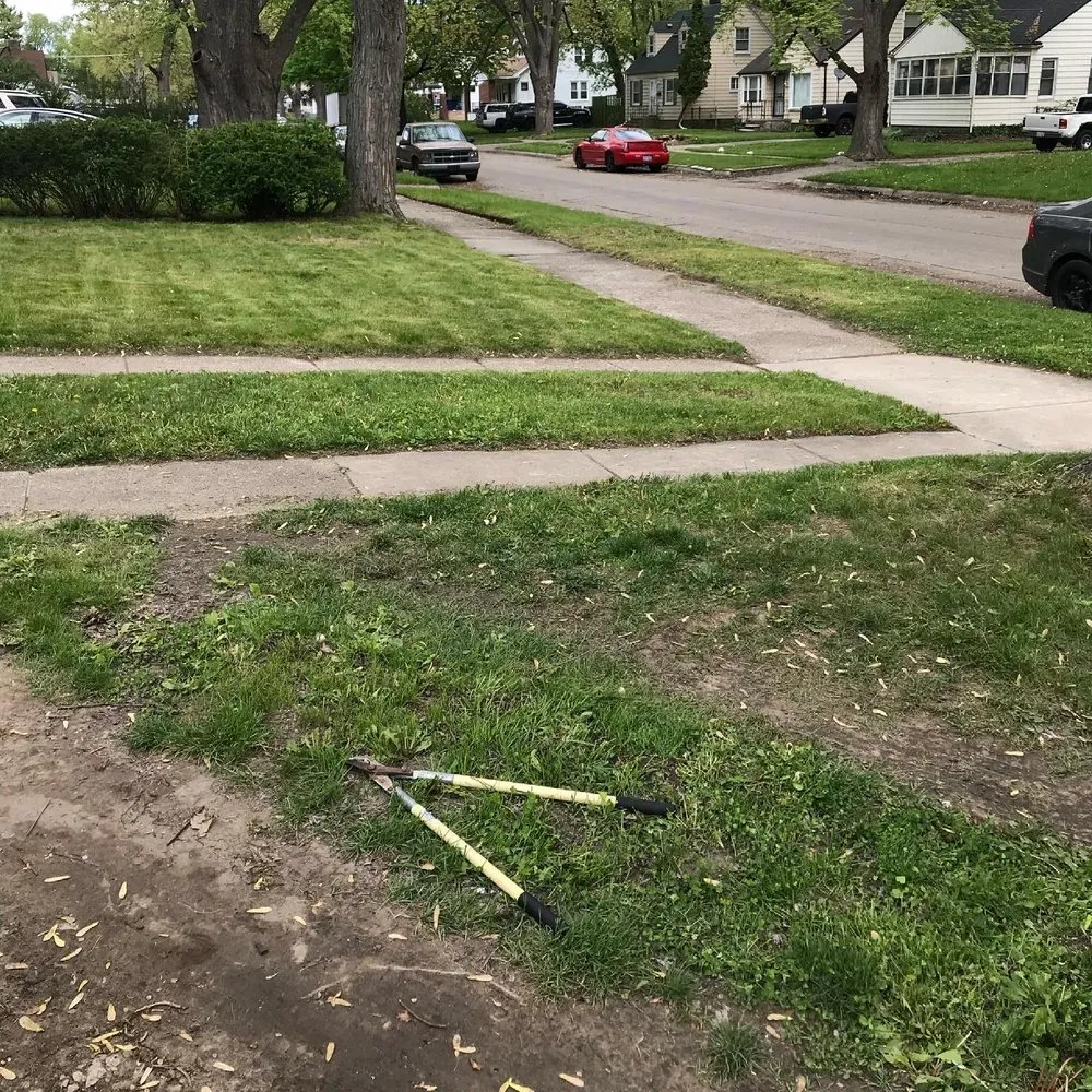 Affordable landscape installation in Detroit, MI by Pick A Day