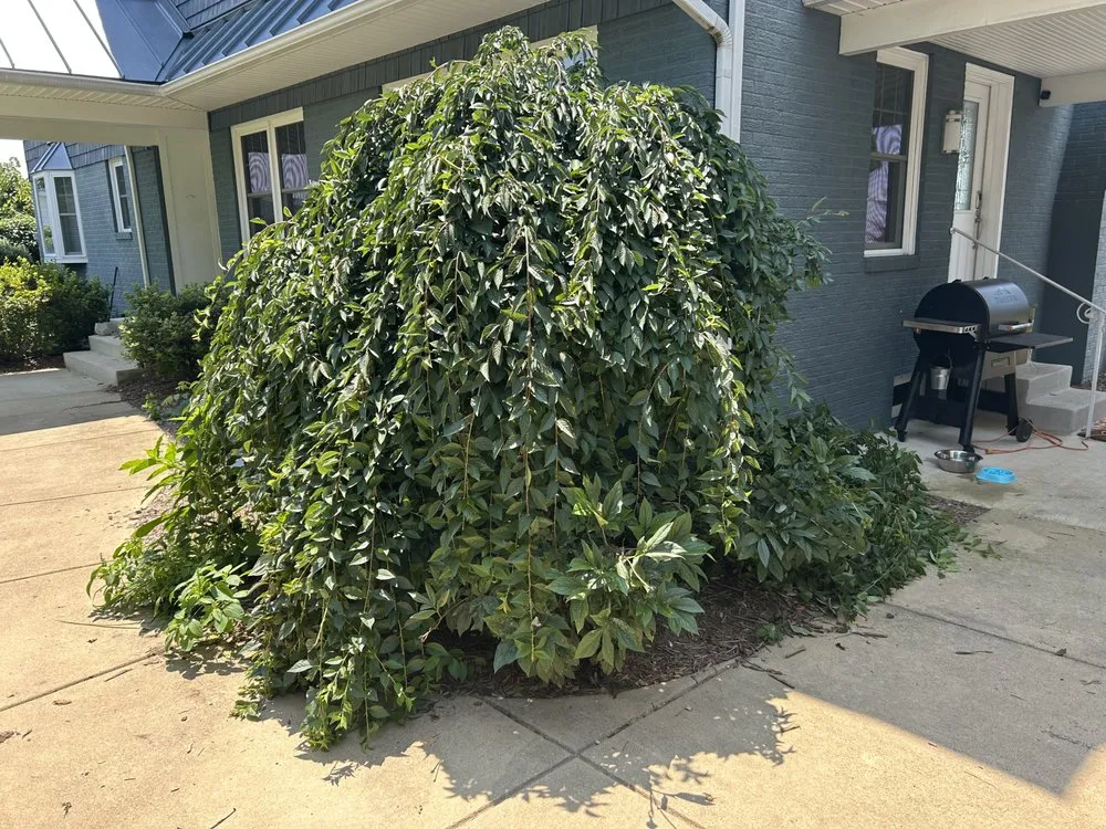 Top-rated lawn care service with custom design in California, MD by Pick Solutions