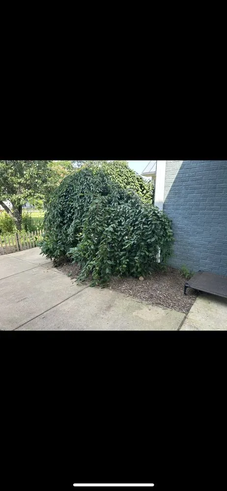 Top-rated landscape design in California, MD - Pick Solutions