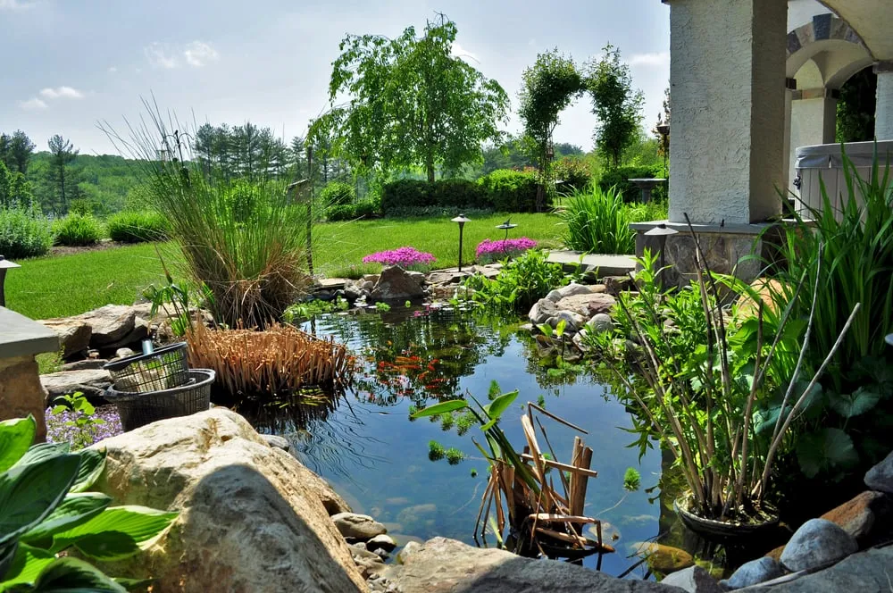 Local yard cleanup service experts serving Landenberg, PA - Pickel Landscape Group