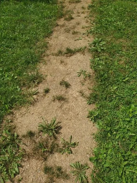 Affordable garden landscaping in Landenberg, PA - Pickel Landscape Group