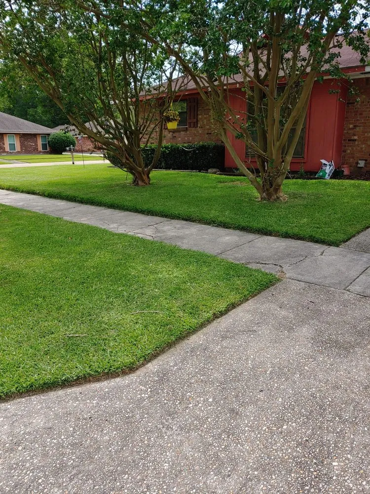 Local yard maintenance in Baton Rouge, LA by Pickering Lawn Care & Home Maintenance