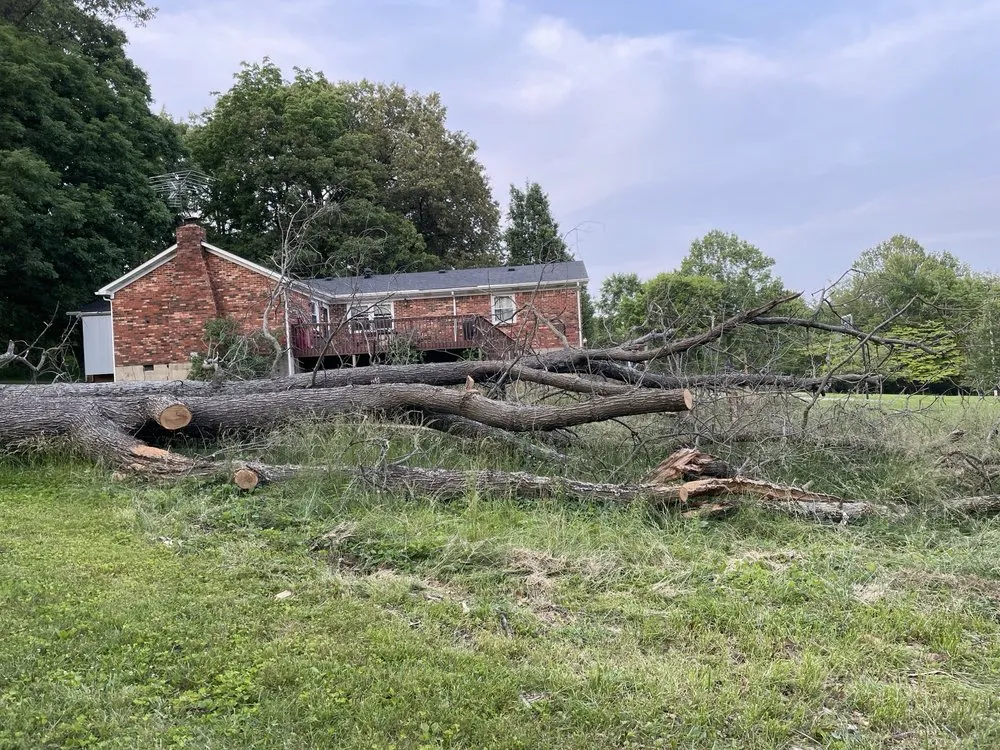 Local yard cleanup service near you across Radcliff, KY - Picket Fence Lawn Services