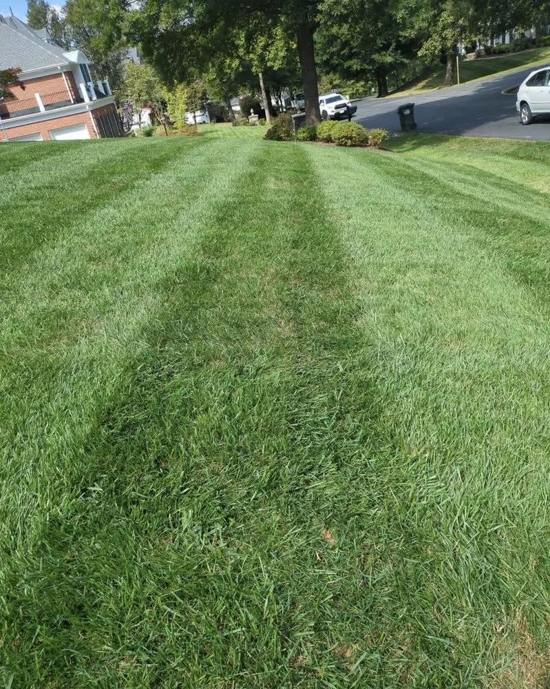 Trusted landscape design in Radcliff, KY - Picket Fence Lawn Services